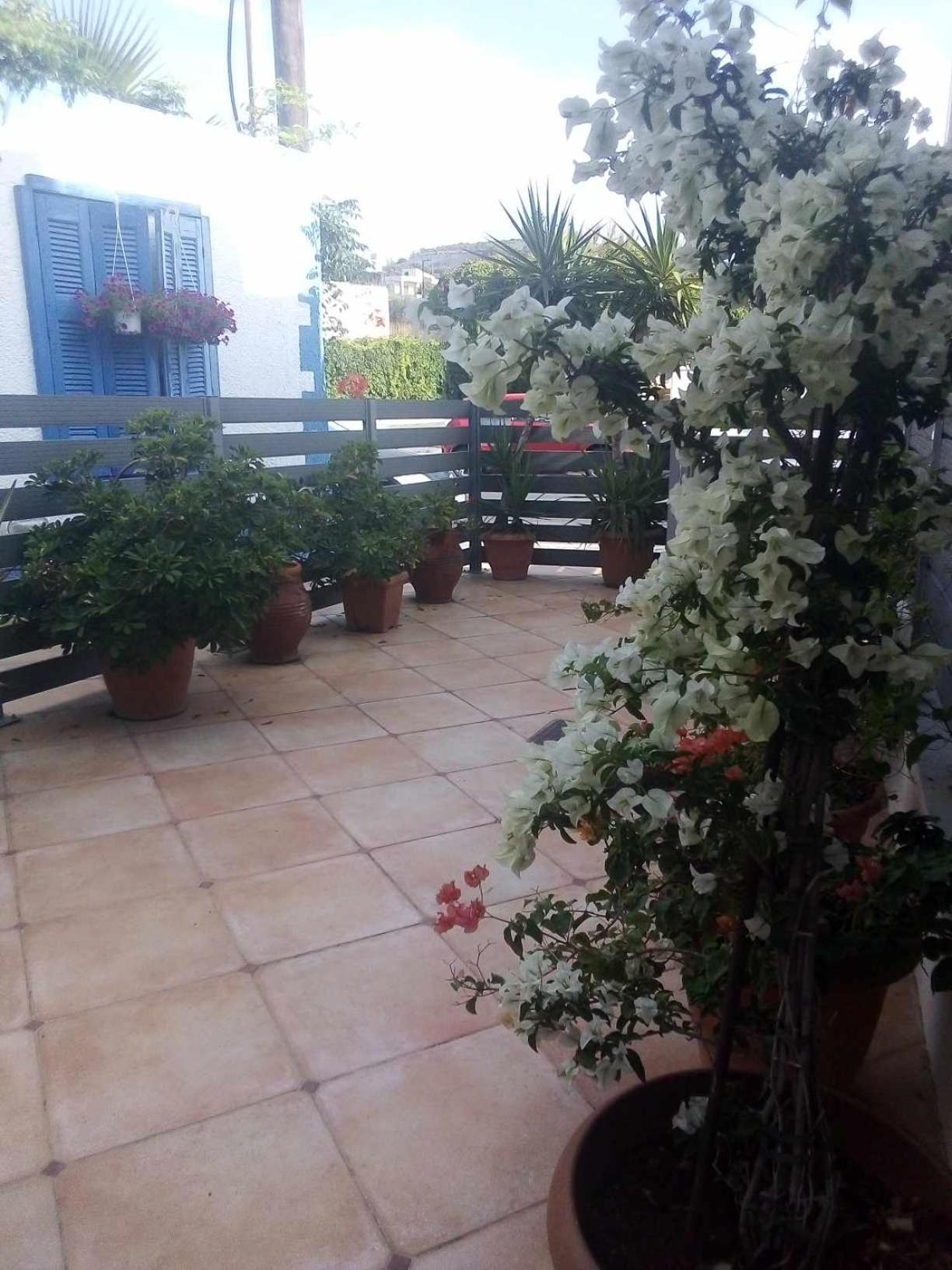 شقة The Getaway Agia Marina المظهر الخارجي الصورة